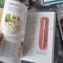 4 book lot on the Cavalier King Charles Spaniels Image 9