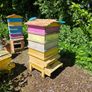Bee hives Image 3