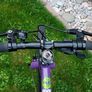 Frog 55 Bike Image 3