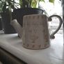 Watering can pot decoration Image 5