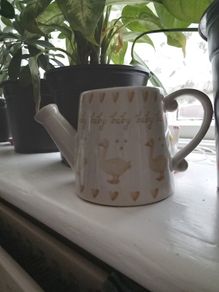 Watering can pot decoration