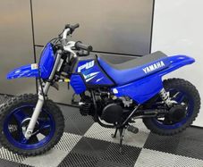 Pw50