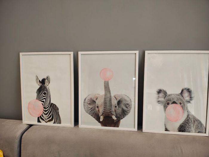 Picture frames