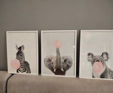 Picture frames