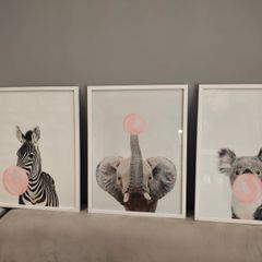 Picture frames