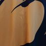 western force rugby jersey Image 5