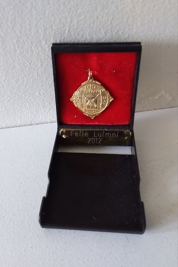 Feile Luimni  2012 - Gold ( Coloured ) Winners Medal