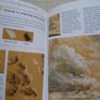 Drawing & Sketching book, Art supplies,Paperback book Image 5
