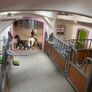 Schleich Horse Club Riding Centre Image 10