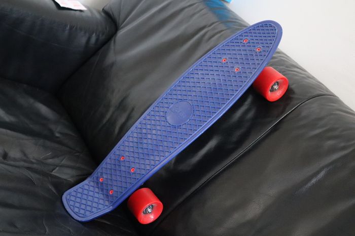 Penny board  mini skateboard  22inc