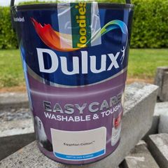 Paint