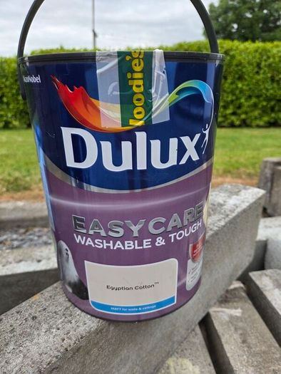 Paint