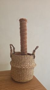 plant basket