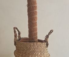 plant basket