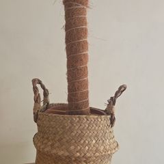 plant basket