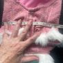 Fancy Dog Coats Image 8