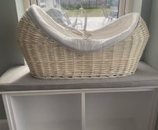 Moses basket