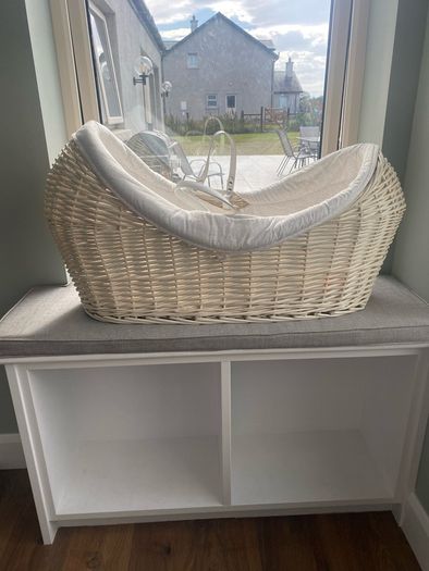 Moses basket