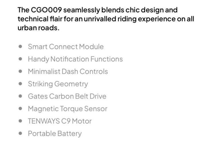 Tenways CGO009 Electric Bike