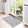 FREE EXPRESS SHIPPING 60 x 90 cm Front Door Mat, Low Profile Dirt Trapper Barrier Mat Super Absorbent Floor Mat Front Door Soft Anti-Slip Mud Trapper Rug Doormat for Pet Entrance Kitchen Indoor Home Image 4