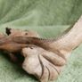 Unusual hand carved wooden lizard on exotic tree branch Image 3