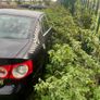volkswagen jetta for breaking Image 3