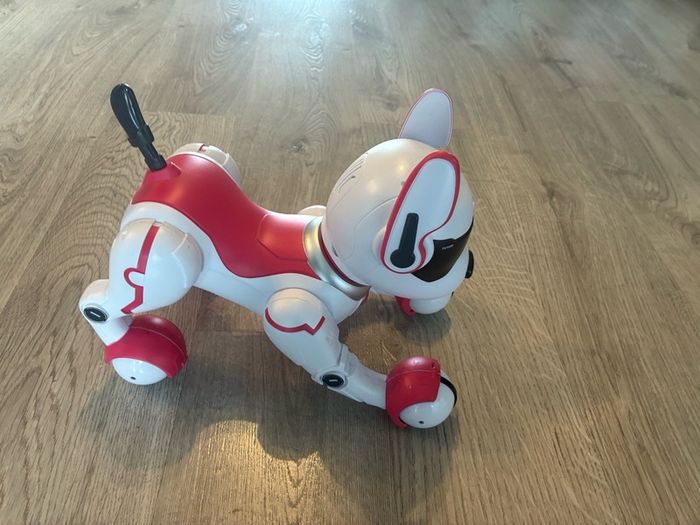 Zoey the Robo Dog