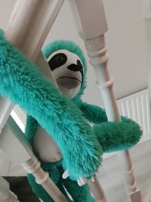 sloth plushy