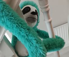 sloth plushy