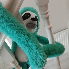 sloth plushy