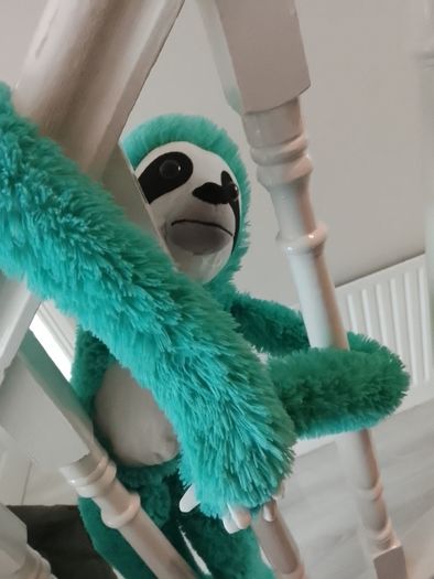 sloth plushy