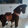 Ponycycle Image 3