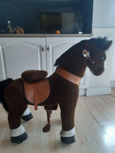 Ponycycle