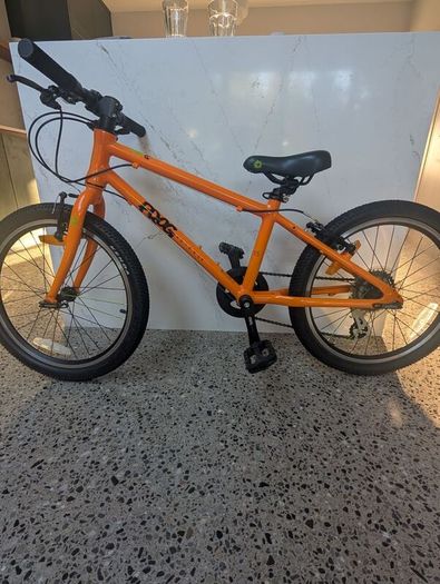 Frog 55 20 inch bike