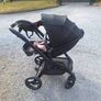 Egg buggy Image 4