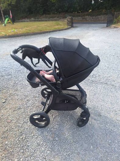 Egg buggy
