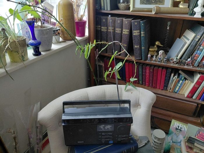 Vintage Philips radio D 2615 works