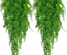 2 Packs Artificial Hanging Plants Ferns Aesthetic Room Fake Green Leaves Wall Decoration for Indoor & Outdoor, Faux Greenery Vines for Bedroom & Gardens (FREE POSTAGE)