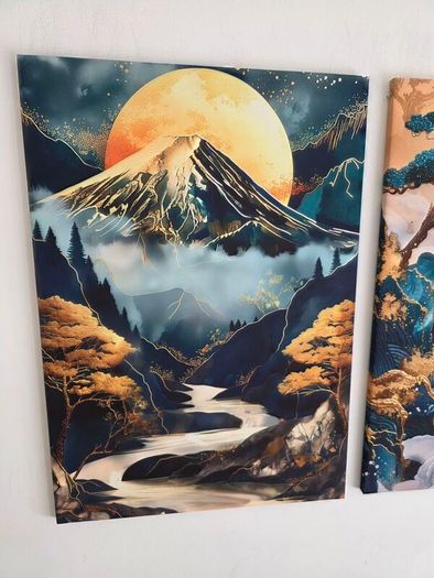 3 framed printed canvas 35x55cm each