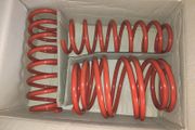 BMW E60 Lowering Springs
