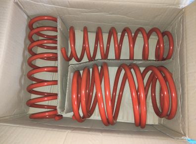 BMW E60 Lowering Springs