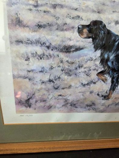 Limited edition print of Gordon Setter