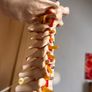 Flexible Spine Model Life Size Image 2