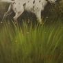 Vintage dog painting in wood frame Image 2