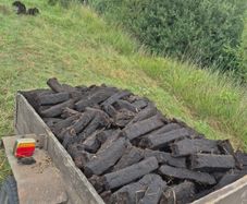 Car Trailer turf
