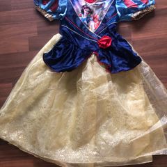 Cinderella dress