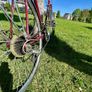 Raleigh Routier, Road bike, Xl, 60cm, Vintage Bike Image 9