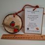 Robin on Wooden Disc Image 2