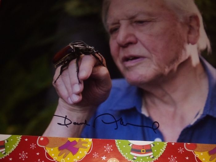 David aattenborough Signed 12x8 Photo