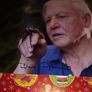 David aattenborough Signed 12x8 Photo Image 3